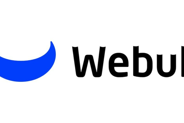 Webull Q1 2026 earnings