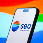 SEA limited Q2 earnings